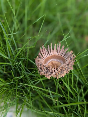 福岡リンパマッサージ