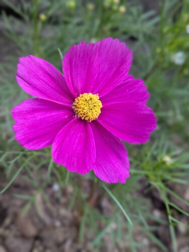 福岡リンパマッサージ