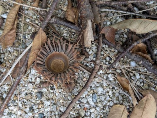 福岡リンパマサージ