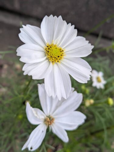 リンパマッサージ福岡