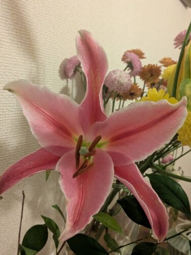 福岡リンパマッサージ