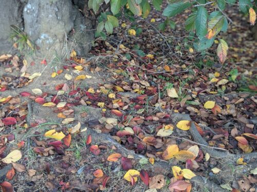 福岡リンパマッサージ