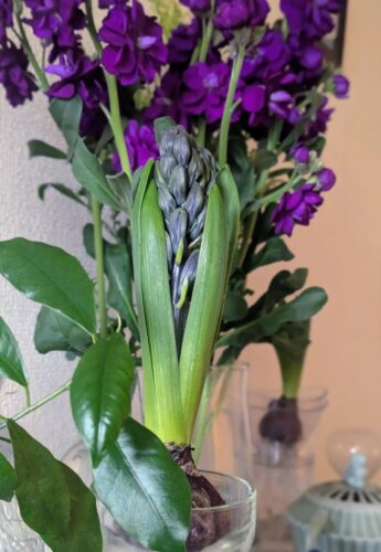 福岡リンパマッサージ