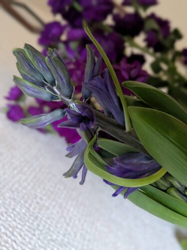 福岡リンパマッサージ月桃