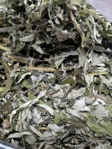 福岡リンパマッサージ月桃